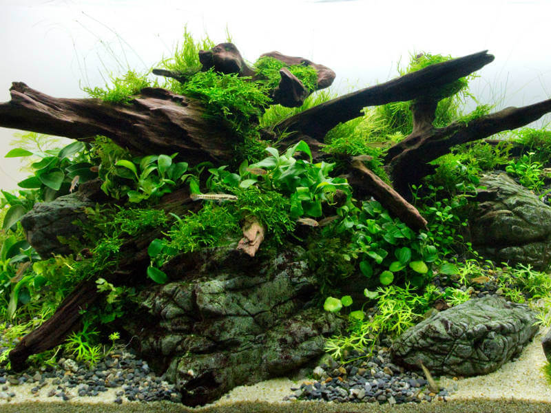 Aquarium deco Deco Rocks Large with moss